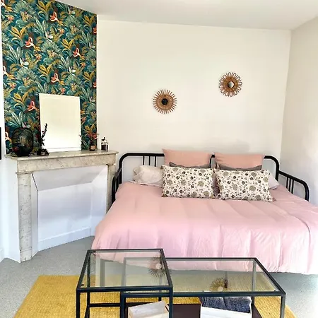 Apartment Studio Calme Et Cosy A 2min Chu