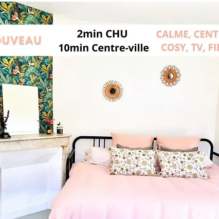 Studio Calme Et Cosy A 2min Chu Apartment